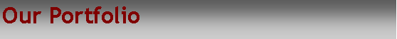 Text Box: Our Portfolio